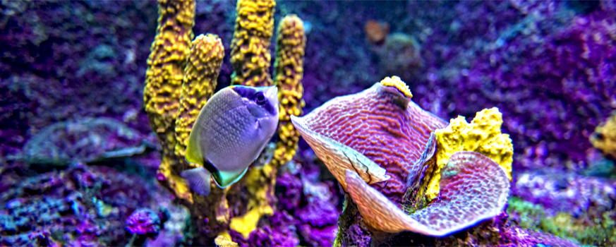 cancun4_04.jpg